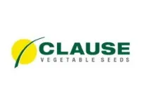 Семена кабачков Losca F1, Clause