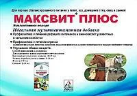 Максивит плюс 100мл